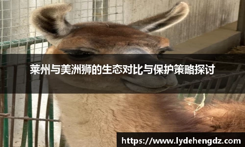 雷竞技官网地址